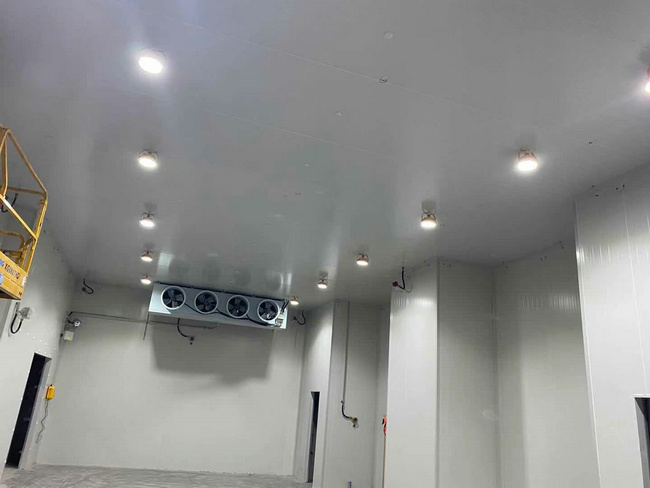 建個存放10噸貨物的冷庫大概需要多少錢？